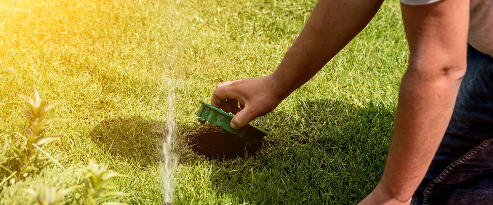 How A Sprinkler System Can Help You Maintain Trees On Your Omaha Property