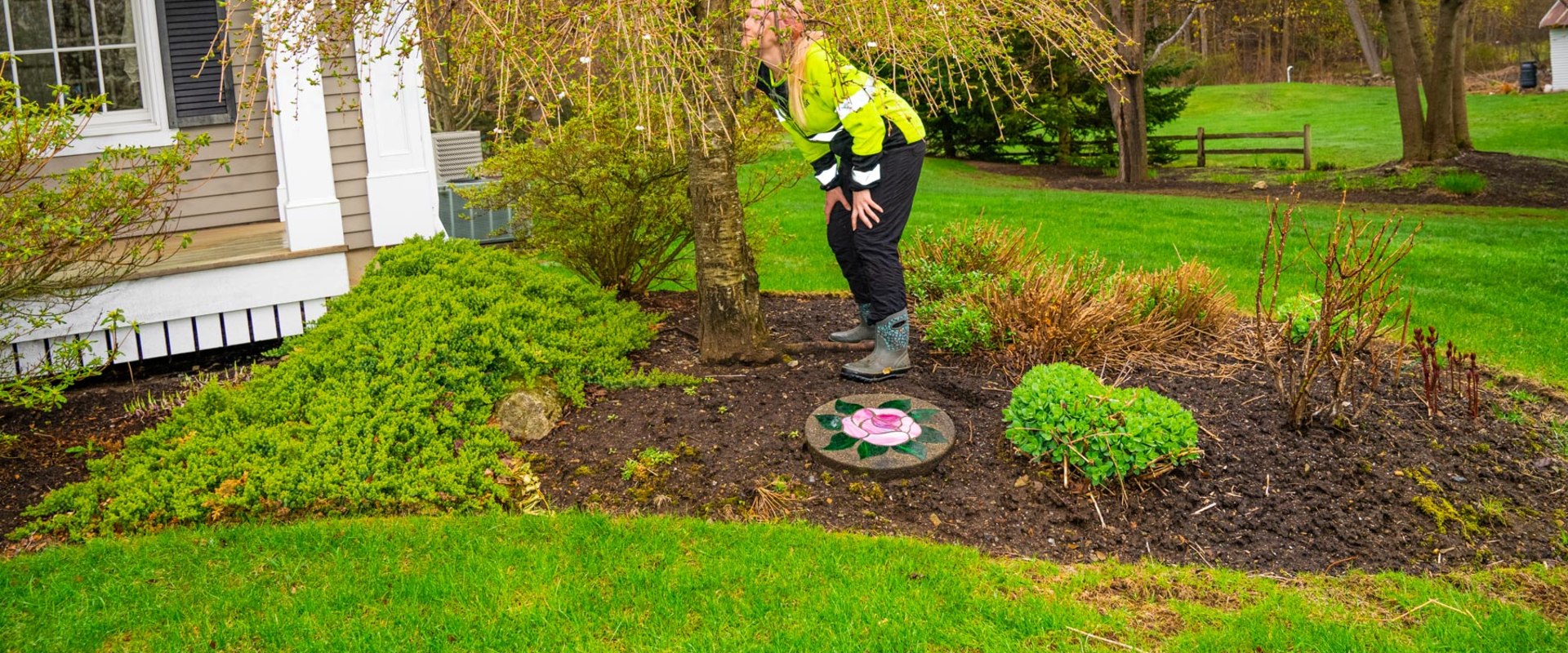 The Importance Of Tree Maintenance For A Healthy Lawn In Derry, NH