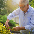 How A Landscaper In New Hampton Can Transform Your Trees With Expert Maintenance