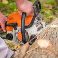 What do trees need to survive?