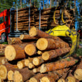 EZ Grapple: The Tool That Makes Tree Maintenance Easier