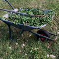 Professional Tree Maintenance & Lot Clearing in Columbia