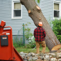 What time of year is cheapest for tree removal?