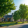 Urban Tree Stress: How Pavement and Pollution Change Maintenance Needs