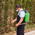 How A Professional Pest Service Company Can Help With Tree Maintenance In Forney, TX