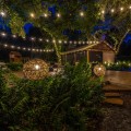 Tree Lighting Magic: Enhancing Tree Maintenance With Landscape Lighting In Austin