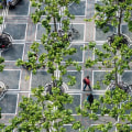 Green Oasis In Portland, OR: How Tree Trimming Enhances Overall Maintenance