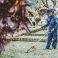 A Greener Tomorrow: The Environmental Benefits Of Landscape Construction And Tree Maintenance In Pembroke Pines