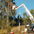 Maintaining Trees In Scottsdale: The Importance Of Proper Tree Trimming