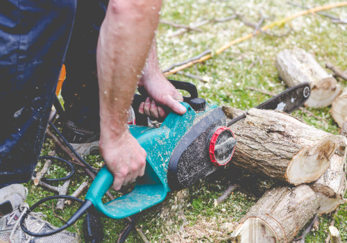 Choosing A Professional Tree Care Service In Fredericksburg