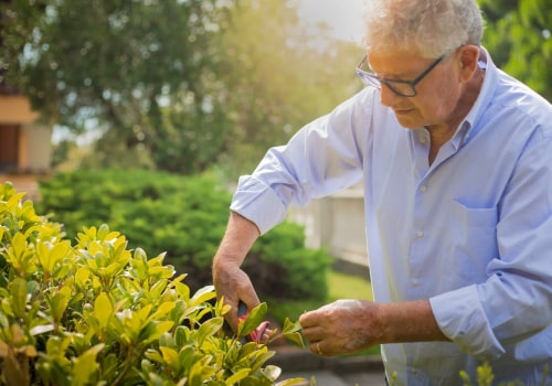 How A Landscaper In New Hampton Can Transform Your Trees With Expert Maintenance