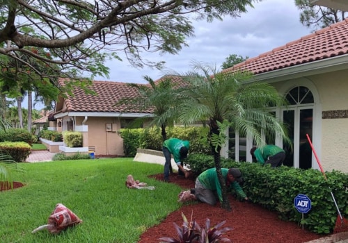 Mulching Services: A Key Component for Sustainable Tree Maintenance In Northern Virginia