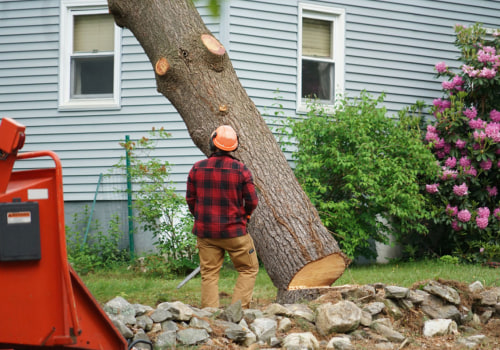 What time of year is cheapest for tree removal?