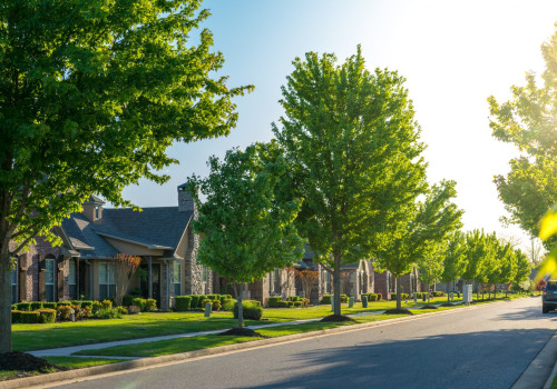 Urban Tree Stress: How Pavement and Pollution Change Maintenance Needs