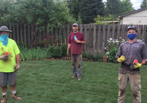 Sprinkler Installation Tips That Improve Tree Maintenance Results In Portland
