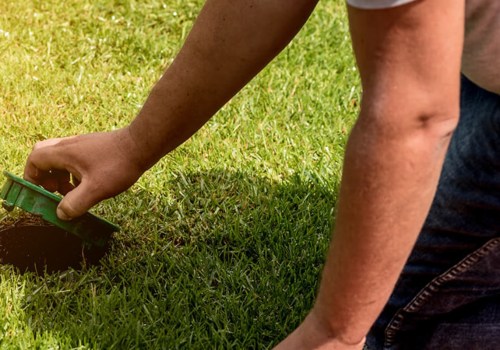 How A Sprinkler System Can Help You Maintain Trees On Your Omaha Property