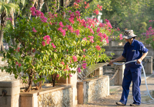 Elevate Your Landscape: Top Tree Maintenance Services In Wesley Chapel