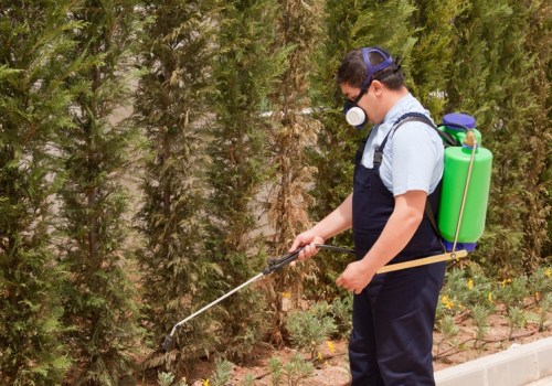 How A Professional Pest Service Company Can Help With Tree Maintenance In Forney, TX