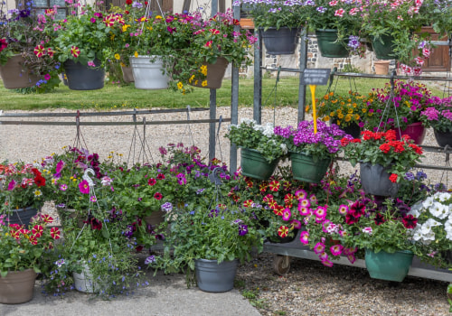 Enhance Your Property with Expert Tree Maintenance and Landscaping