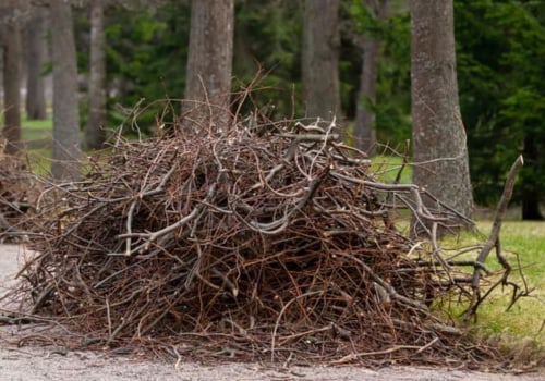 What percentage of a tree can be pruned?