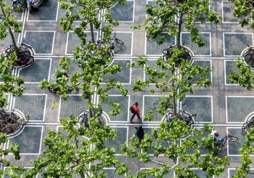 Green Oasis In Portland, OR: How Tree Trimming Enhances Overall Maintenance