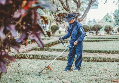 A Greener Tomorrow: The Environmental Benefits Of Landscape Construction And Tree Maintenance In Pembroke Pines