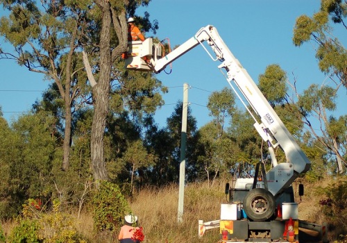 Maintaining Trees In Scottsdale: The Importance Of Proper Tree Trimming